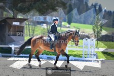 ref. photo 3558609