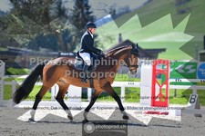 ref. photo 3558610