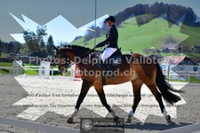 ref. photo 3558614