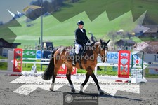 ref. photo 3558616
