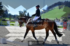 ref. photo 3558618