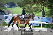 ref. photo 3558634