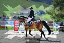 ref. photo 3558638