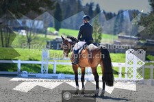 ref. photo 3558639