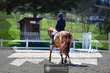 ref. photo 3558652