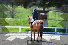ref. photo 3558653