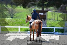 ref. photo 3558654