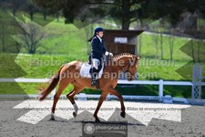 ref. photo 3558657