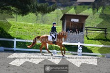 ref. photo 3558671
