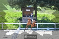 ref. photo 3558680