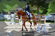 ref. photo 3558687