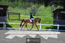 ref. photo 3558688