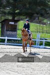 ref. photo 3558689