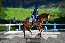ref. photo 3558700