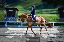 ref. photo 3558703