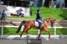 ref. photo 3558716