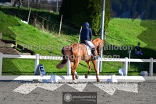 ref. photo 3558724