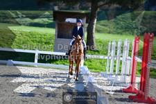ref. photo 3558726