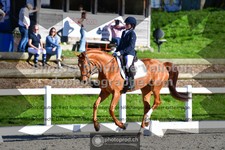 ref. photo 3558729
