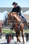 ref. photo 3558741