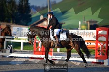 ref. photo 3558765