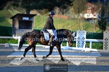 ref. photo 3558803