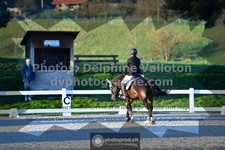 ref. photo 3558807