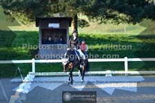 ref. photo 3558810