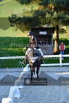 ref. photo 3558812