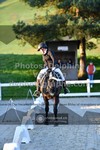 ref. photo 3558814