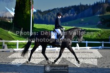 ref. photo 3558818