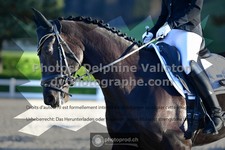 ref. photo 3558833