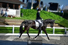 ref. photo 3558834