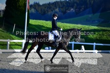ref. photo 3558835