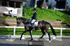 ref. photo 3558841