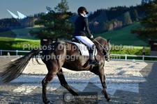 ref. photo 3558843