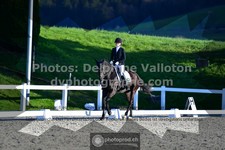 ref. photo 3558845