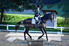 ref. photo 3558846