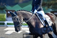 ref. photo 3558848