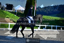 ref. photo 3558849