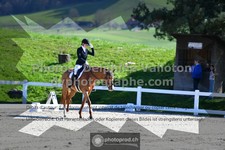 ref. photo 3558869