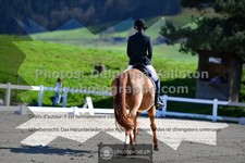 ref. photo 3558876