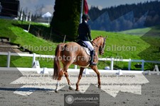 ref. photo 3558878