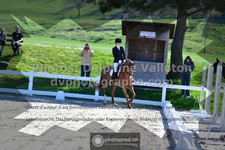 ref. photo 3558880