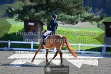 ref. photo 3558884