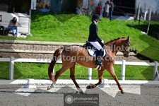ref. photo 3558890