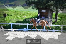 ref. photo 3558892