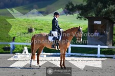 ref. photo 3558896