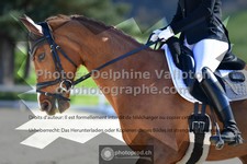 ref. photo 3558899
