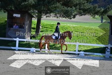 ref. photo 3558902